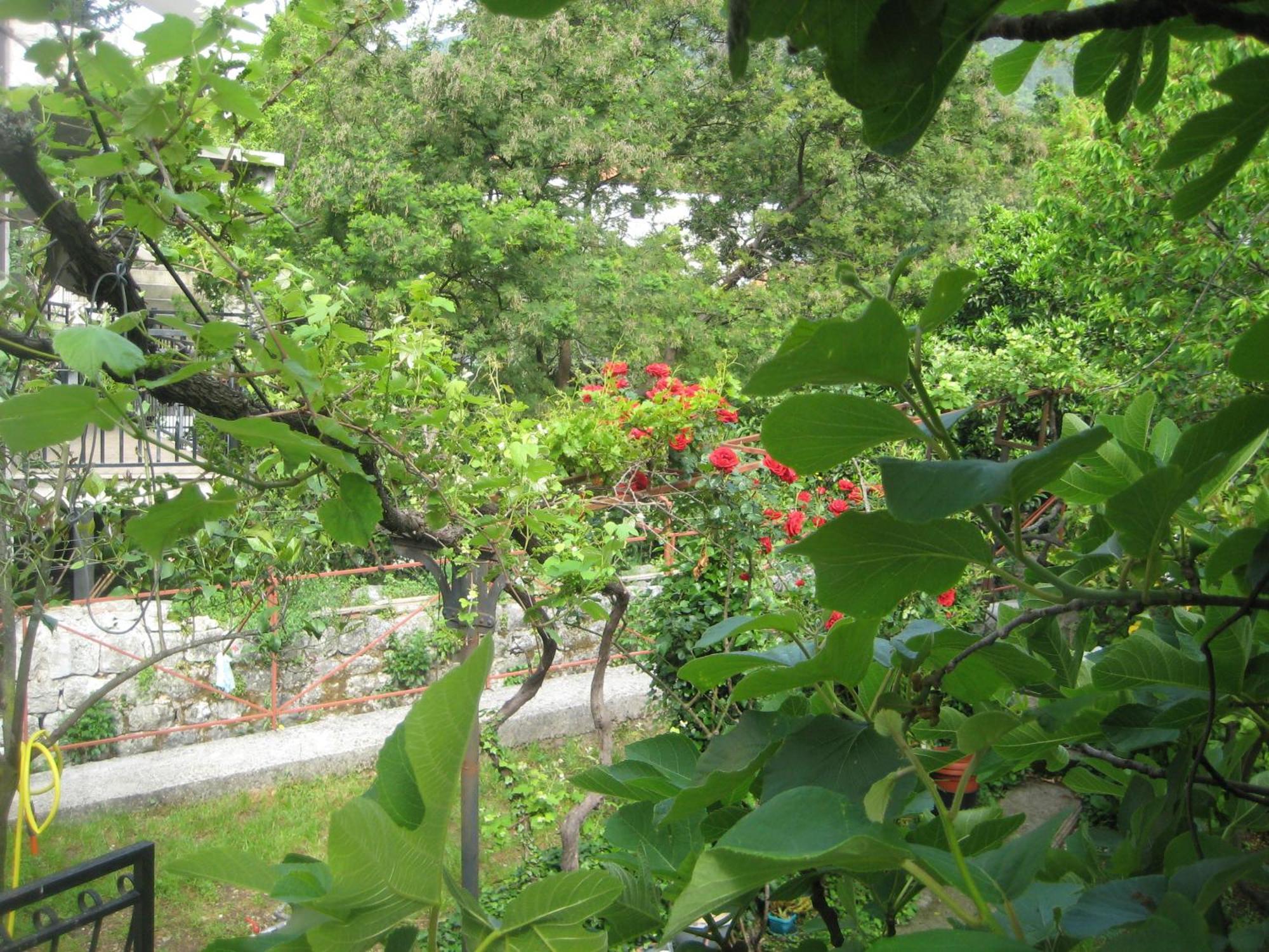 Apartments Colic Herceg Novi Exterior photo